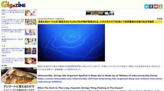 既知の生物の中で最大の動物はシロナガスクジラだと考えられていますが、全長がシロナガスクジラを超えて最長になる可能性のある「巨大なヒモのような生き物」が、深海探査により発見されました。