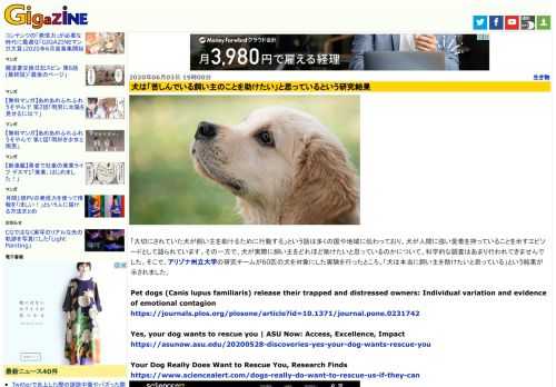 「大切にされていた犬が飼い主を助けるために行動する」という話は多くの国や地域に伝わっており、犬が人間に強い愛着を持っていることを示すエピソードとして語られています。その一方で、犬が実際に飼い主をどれほど助けたいと思っているのかについて、科学的な調査はあまり行われてきませんでした。そこで、アリゾナ州立大学の研究チームが60匹の犬を対象にした実験を行ったところ、「犬は本当に飼い主を助けたいと思っている」という結果が示されました。