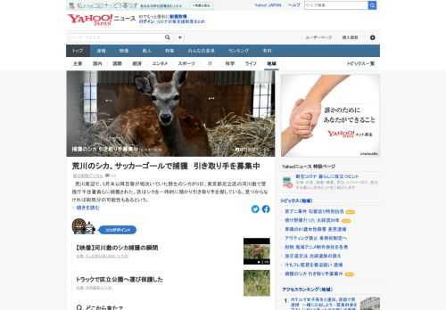 荒川周辺で、5月末以降目撃が相次いでいた野生のシカが3日、足立区の河川敷で警視庁千住署員らに捕獲された。区はシカを一時的に預かり引き取り手を探している。見つからなければ殺処分の可能性もあるという。