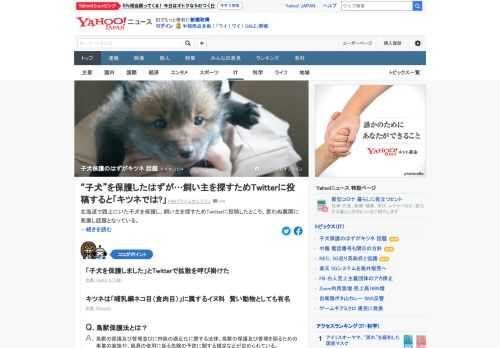 北海道で路上にいた「子犬」を保護し、飼い主を探すために投稿したツイートが思わぬ展開に発展し話題となった。多くの人から「子犬ではなくキツネでは？」という声が寄せられ、実際はキツネだったことが判明。