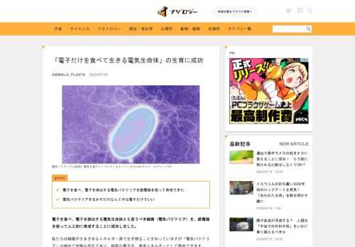 point 電子を食べ、電子を排出する電気バクテリアを鉄電極を使って育成できた 電気バクテリアを生かすだけならエサは電子だけでいい 電子を食べ、電子...