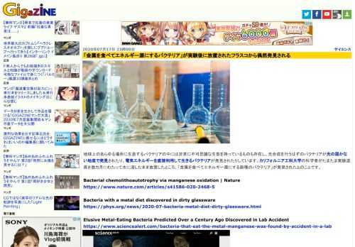 地球上のあらゆる場所に生息するバクテリアの中には非常に不可思議な生態を持っているものも存在し、光合成を行うはずのバクテリアが光の届かない地底で発見されたり、電気エネルギーを直接利用して生きるバクテリアが発見されたりしています。カリフォルニア工科大学の科学者がたまたま実験道具を数カ月にわたって水に浸したまま放置したところ、「金属を食べてエネルギー源にする新種のバクテリア」が発見されたとのことです。