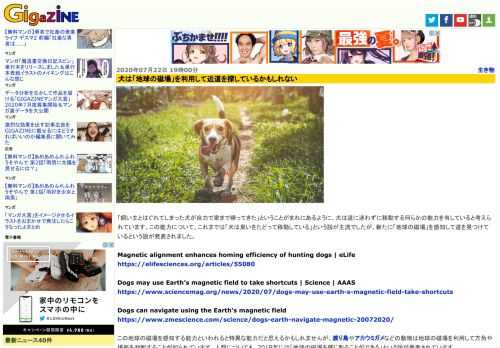 「飼い主とはぐれてしまった犬が自力で家まで帰ってきた」ということがまれにあるように、犬は道に迷わずに移動する何らかの能力を有していると考えられています。この能力について、これまでは「犬は臭いをたどって移動している」という説が主流でしたが、新たに「地球の磁場」を感知して道を見つけているという説が発表されました。