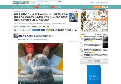 手渡しで返却するのかわいい。今は会いに行けない遠方の方も、メイちゃんが元気そうでよかった！と喜んでいます。