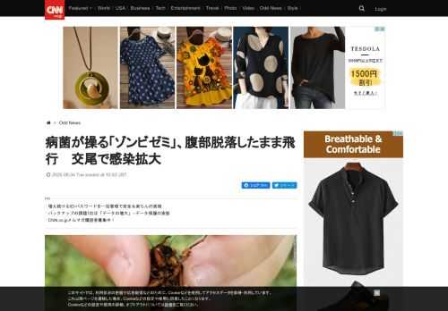 病菌に感染して心と体を操られ、「ゾンビ」と化して仲間の間で感染を拡大させるセミの集団が見つかったとして、米ウェストバージニア大学の研究チームが学会誌に調査結果を発表した。 - (1/2)