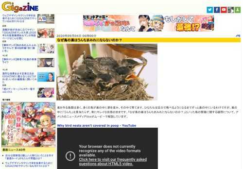 巣を作る鳥類は多く、多くの鳥が巣の中に卵を産み、その中で育てます。ひなたちは自力で飛べるようになるまでずっと巣の中にいるわけですが、巣の中に「うんち」は見当たらず、常にキレイな状態のままです。「なぜ鳥の巣はうんちまみれにならないのか？」といった鳥の繁殖に関する疑問について、アメリカのニュースメディアVoxがムービーで解説しています。