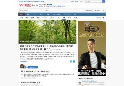 熊本市西区の小学6年生の男の子が「近所の山で体長9センチのヒラタクワガタを捕まえた」。専門家は「インドネシア・アチェ州原産のスマトラオオヒラタクワガタです」。このクワガタが山で捕獲されたことを心配する。