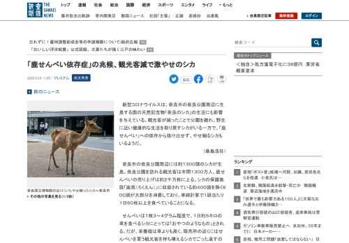 新型コロナウイルスは、奈良市の奈良公園周辺に生息する国の天然記念物「奈良のシカ」の生活にも影響を与えている。観光客が減ったことで公園を離れ、野生に近い健康的な生…