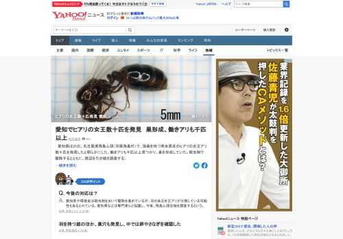 愛知県は25日、名古屋港飛島ふ頭で、強毒を持つ南米原産のヒアリの女王アリ数十匹を発見したと明らかにした。働きアリも千匹以上見つかり、巣を形成していた。