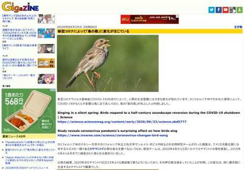 新型コロナウイルス感染症(COVID-19)の流行によって、人間の生活習慣には大きな変化が訪れています。カリフォルニア州で行われた研究によって、COVID-19がもたらす影響は鳥にまで及んでおり、鳥の「歌の質」が向上したと判明しました。