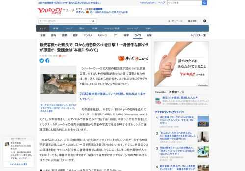 　シルバーウィークで大勢の観光客が詰めかけた奈良公園。ですが、その喧噪が去った23日に目撃されたのは、座り込んで口から泡を吹き、よだれのようにダラダラと垂らしている苦しそうなシカの姿でした。  