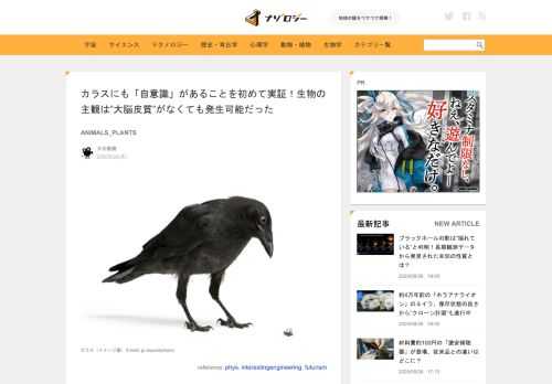 カラスは「自分」を理解している 研究チームは、訓練した2羽のカラス、オジーとグレンを対象に、意識的な知覚体験の有無を調べました。 オジーとグレンは、...