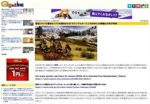 2020年7月に発表された研究により、ネアンデルタール人の遺伝子が新型コロナウイルス感染症(COVID-19)の重症化を招いている可能性があることが判明しました。この時特定されたネアンデルタール人由来の遺伝子を持つ人々を、さらに広範に調べた新たな研究により、新型コロナウイルス感染症が重症化する危険因子を持つ人の詳細な分布が明らかになりました。