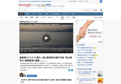 瀬戸内海で、希少な小型鯨類・スナメリが漁船の周りに群れているのを岡山理科大の研究グループが確認。警戒心が強く人間に近づくのは珍しいとされ、「謎の多い生態の一端を知る手掛かりになる可能性がある」とする。