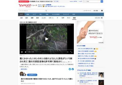 70歳の男性が、誤ってわなにかかっていたニホンカモシカを助けようとしたところ、ツノで脚を刺され死亡した。国の天然記念物で駆除の対象ではないため、逃がそうと近づいたところ、襲われたという。