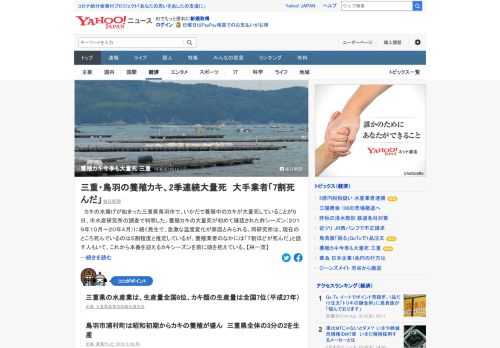 カキの水揚げが始まった三重県鳥羽市で、いかだで養殖中のカキが大量死していることが5日、市水産研究所の調査で判明。養殖カキの大量死が初めて確認された昨シーズンに続く発生で、急激な温度変化が原因とみられる。