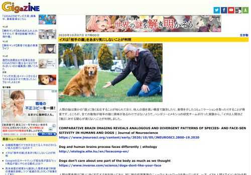 人間の脳は誰かの「顔」に強く反応することが知られており、他人の顔を高い精度で識別したり、表情を介したコミュニケーションを取ったりすることが得意です。ところが、全ての動物が相手の顔に興味があるわけではないようで、ハンガリーとメキシコの研究チームが行った実験から、「イヌは人間ほど『顔』に対する関心が高くない」ことが判明しました。