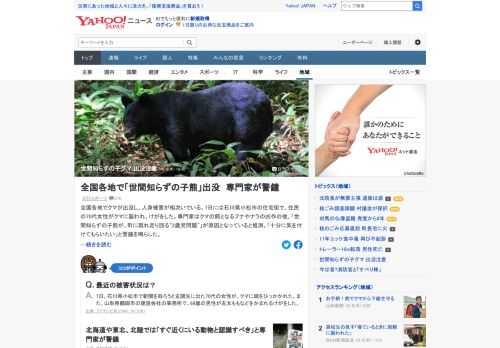 全国各地でクマが出没し、人身被害が相次いでいる。専門家はクマの餌となるブナやナラの凶作の他、「世間知らずの子熊が、町に現れ走り回る2歳児問題」が原因となっていると推測。