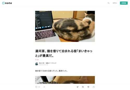 猫を借りて泊まれる宿に行った。最高だった。    場所は、湯河原の「まいきゃっと」  安い部屋だと1泊4,263円から。GoToトラベルも適用できて、かなりお得。猫を部屋に連れて行くプランは別途料金がかかります。  プランによると思いますが、設備はそこまで整っていないので、その点は注意。どちらかというと民宿感や民泊感あります。    まいきゃっと 神奈川県足柄下郡湯河原町福浦２４４－１         まいきゃっと - 宿泊予約は【じゃらんnet】   ねこさんと泊まれる旅館！純和室でゆっくりお寛ぎいただけます。/じゃらんならお得な期間限定プランや直前割引情報が満載。当日／   ww