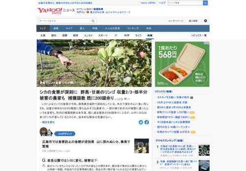 シカによるリンゴの食害が今秋、群馬県甘楽町で深刻化している。収量が例年の3分の2程度に落ち込みそうな農家や、一部の畑で約半分が被害に遭ったという生産者も。リンゴ農家はシカが「憎たらしいですよ」。