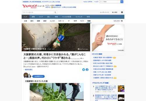 大阪駅前の道に生え、話題になっていた「ど根性大根」が、11月8日夜までに何者かによって引き抜かれた。引き抜かれた大根の穴には、ワケギが残されていた。大根は歩道橋とアスファルトの間を突きやぶって生え、行き交う人を驚かせていた。