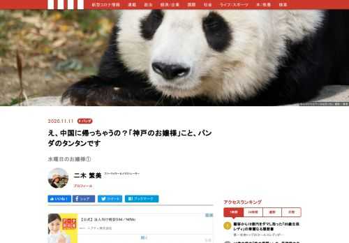 神戸王子動物園のメスのジャイアントパンダ「タンタン（旦旦）」。そのかわいい姿と優雅な所作から、親しみを込めて、“神戸のお嬢様”とも呼ばれています。愛くるしいタンタンですが、今年、中国への返還が決まっています。神戸で最後の時間を過ごすお嬢様の様子を、毎週水曜日にお届け！