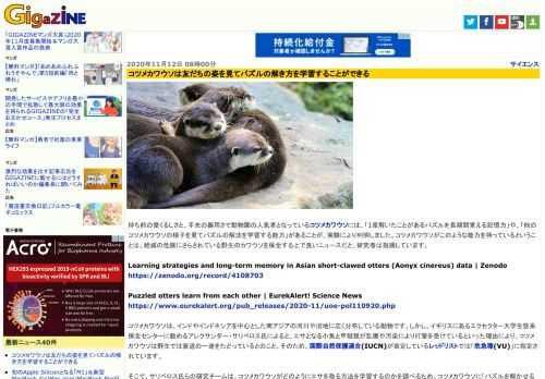 持ち前の愛くるしさと、手先の器用さで動物園の人気者となっているコツメカワウソには、「1度解いたことがあるパズルを長期間覚える記憶力」や、「他のコツメカワウソの様子を見てパズルの解法を学習する能力」があることが、実験により判明しました。コツメカワウソがこのような能力を持っているということは、絶滅の危険にさらされている野生のカワウソを保全する上で良いニュースだと、研究者は指摘しています。