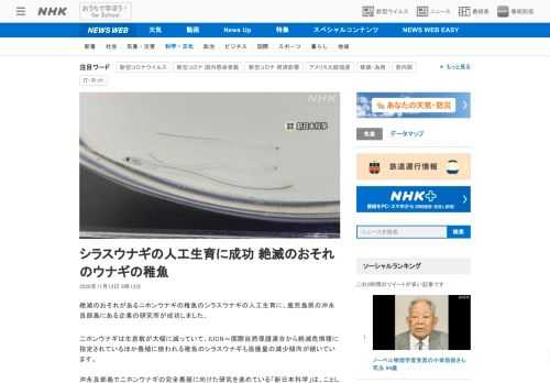【NHK】絶滅のおそれがあるニホンウナギの稚魚のシラスウナギの人工生育に、鹿児島県の沖永良部島にある企業の研究所が成功しました。