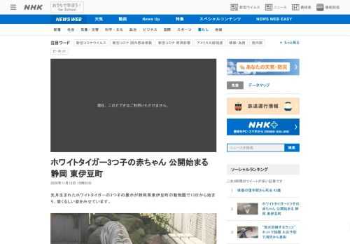 【NHK】先月生まれたホワイトタイガーの3つ子の展示が静岡県東伊豆町の動物園で13日から始まり、愛くるしい姿をみせています。