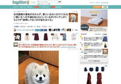 こんな顔されたら困ってしまうな…。