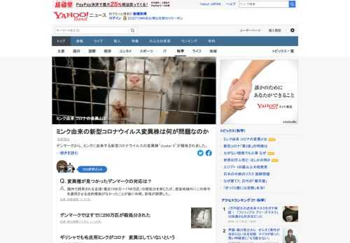 デンマークから、ミンクに由来する新型コロナウイルスの変異株が報告された。そもそもウイルスの変異とはなにか、この変異株の出現による影響にはどのようなものがあるのか。専門家が解説。