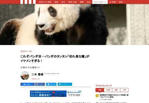 神戸王子動物園のメスのジャイアントパンダ「タンタン（旦旦）」。そのかわいい姿と優雅な所作から、親しみを込めて、“神戸のお嬢様”とも呼ばれています。愛くるしいタンタンですが、今年、中国への返還が決まっています。神戸で最後の時間を過ごすお嬢様の様子を、毎週水曜日にお届け！