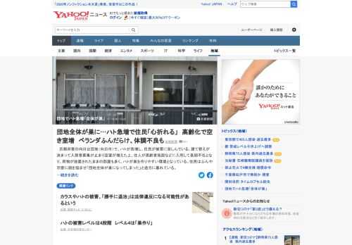 京都府営の向日台団地で、ハトが急増し、住民が被害に苦しんでいる。住民はふんや羽音に頭を悩ませ「団地全体が巣になってしまった」と途方に暮れている。