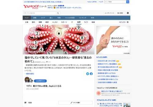 宮城県南三陸町の志津川湾で足が1本多い、9本足のマダコが見つかった。タコは足の再生能力があり、何らかの拍子で足が増えることがあるが、地元の研究者も「見るのは初めて」と驚いている。