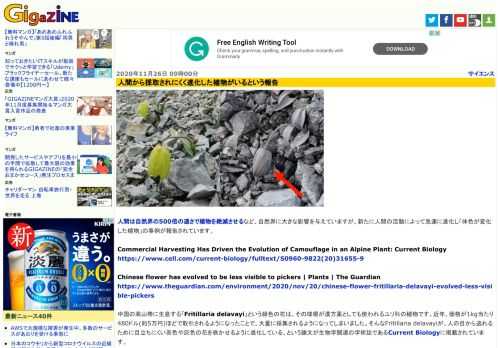 人間は自然界の500倍の速さで植物を絶滅させるなど、自然界に大きな影響を与えていますが、新たに人間の活動によって急速に進化し「体色が変化した植物」の事例が報告されています。