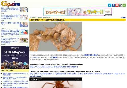 アリはかなり組織化された生物であり、社会性の高い昆虫として知られています。時に大規模な戦争を起こすことでも知られるアリですが、新たな研究では、ハキリアリが自ら生み出した「生体鉱物アーマー」をまとっていることが発表されていました。昆虫界でミネラルを硬化させたボディーアーマーを装着している生物の例は、これが初めてとのことです。