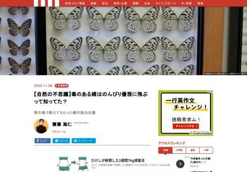 沖縄県石垣島で、400種5000頭の昆虫標本を展示している個人博物館「蝶館カビラ」（現在は休館中）。ここで教えてもらった蝶たちの驚くべき生存戦略!?　知れば知るほど深い今週の世界！