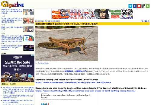 動物の優れた嗅覚を応用する試みは数多く行われており、臭いを頼りに行方不明者を探す警察犬や空港で麻薬の密輸をチェックする麻薬探知犬、さらに地雷を嗅ぎ分けて除去処理を助ける地雷探知犬や地雷探知ネズミも存在しています。アメリカ・ワシントン大学の研究チームが行った研究により、「サイボーグ化したバッタの嗅覚を利用して爆薬の臭いを検出する試み」が進展したと報じられています。