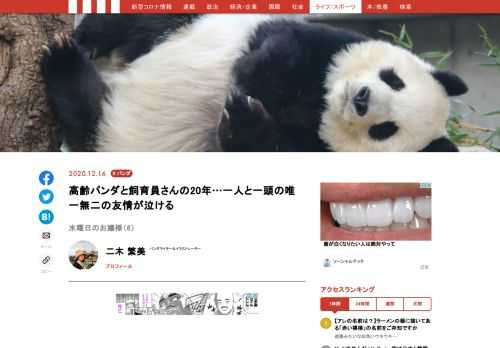 神戸王子動物園のメスのジャイアントパンダ「タンタン（旦旦）」。そのかわいい姿と優雅な所作から、親しみを込めて、“神戸のお嬢様”とも呼ばれています。愛くるしいタンタンですが、今年、中国への返還が決まっています。神戸で最後の時間を過ごすお嬢様の様子を、毎週水曜日にお届け！