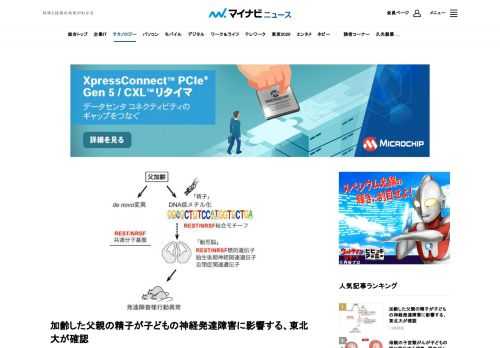 東北大学は、父親の加齢が子どもの神経発達障害様行動異常の原因となりうること、またその原因となる分子病態基盤として、神経分化を制御するタンパク質「REST/NRSF」が関与し、加齢した父親の精子の非遺伝的要因が子どもに影響することを発見したと発表した。