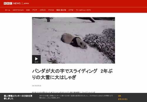 約2年ぶりの大雪となった米ワシントンのスミソニアン国立動物園で、ジャイアントパンダが大はしゃぎする様子をライブカメラが捉えた。