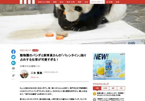 神戸市立王子動物園のメスのジャイアントパンダ「タンタン（旦旦）」。そのかわいい姿と優雅な所作から、親しみを込めて、“神戸のお嬢様”とも呼ばれています。愛くるしいタンタンですが、今年、中国への返還が決まっています。神戸で最後の時間を過ごすお嬢様の様子を、毎週水曜日にお届け！