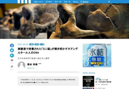 「今月の科学ニュース」は、カリフォルニア大学サンディエゴ校の研究者が発表した“ネアンデルタール化された「ミニ脳」”について紹介します。