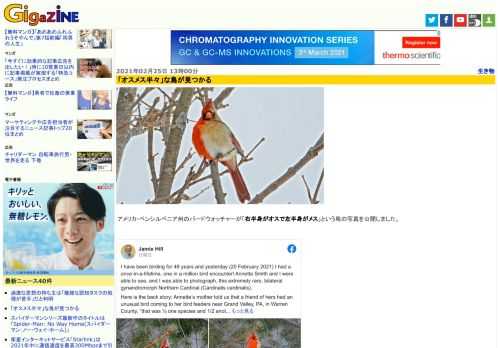 アメリカ・ペンシルベニア州のバードウォッチャーが「右半身がオスで左半身がメス」という鳥の写真を公開しました。