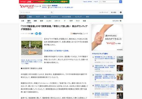 巨大な「ウサギ観音」が話題となり、観光地としても知られる長谷寺（新潟県佐渡市）で、劣悪な環境におけるウサギの多頭飼育が報じられた。  