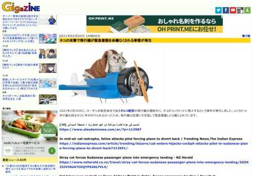 2021年2月24日に、スーダンの航空会社であるタルコ航空の飛行機の運航中に、ネコがコックピットに侵入するという事件が発生しました。コックピット内で暴れ回るネコに手が付けられなかったため、飛行機は空港に引き返して緊急着陸したと報じられています。