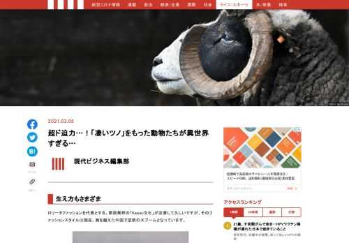 哺乳類で角を持っているのは大きく分けて、シカ科、ウシ科、ロングホーン科、キリン科、サイ科の5種類と言われており、実はそれぞれで角の呼び名や生え方も異なります。