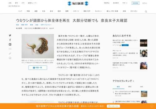 　海洋生物・ウミウシの一種が、心臓など体の大部分を自ら切断（自切）した後、残った頭部から体全体を再生できることを奈良女子大の研究グループが発見した。失った体の大部分を再生できる例として水生生物のプラナリアやゴカイなどが知られるが、グループは「複雑な身体構造を持つ生物で確認されたのは初めてとみられる」