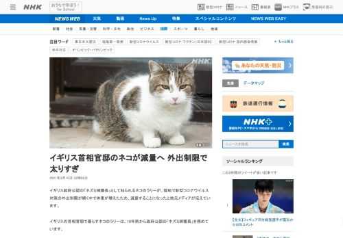 【NHK】イギリス政府公認の「ネズミ捕獲長」として知られるネコのラリーが、現地で新型コロナウイルス対策の外出制限が続く中で体重が増…
