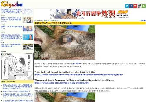 アメリカ・テネシー州で眼球の虹彩部分に毛が生えたオジロジカが見つかりました。野生の鹿の保護を専門とするNational Deer Association(アメリカ鹿協会)は、「歴史上最も奇妙な病気の1つ」と位置づけています。